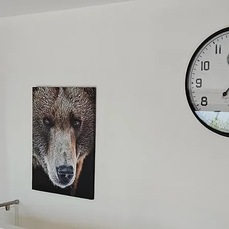 Casa Dell' Orso *