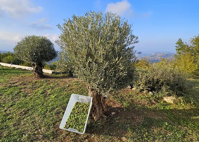 Casa Dell' Orso * Abbateggio